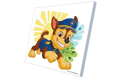 Набір для розпису по номерах 30х30 см QB913-011 "Щенячий патруль: Гончик" qbee купити