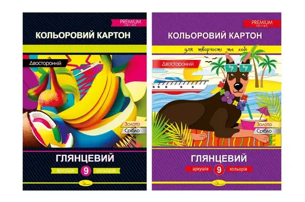 Набір кольорового двостор. картону А4 Преміум 9 аркушів 300 г/м2 КДК-А4-9 купити