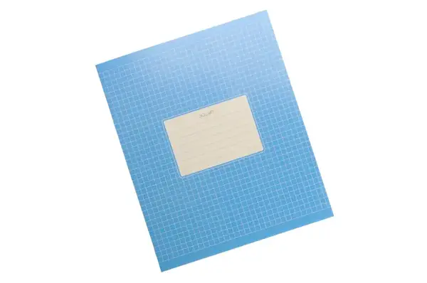 Зошит 18 аркушів Клітинка Фон Школярик купити