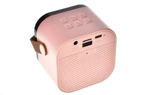 Караоке з 2 мікрофонами Стіч Stitch! блутуз колонка на акумуляторі,слот для карти пам'яті,13x7x14см купити недорого в Україні, фото 2