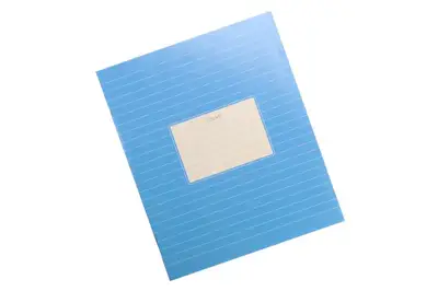 Зошит 24 аркуші Лінія Фон Школярик купити