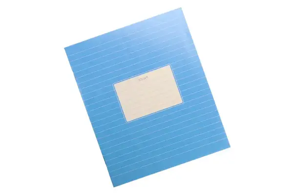 Зошит 24 аркуші Лінія Фон Школярик купити