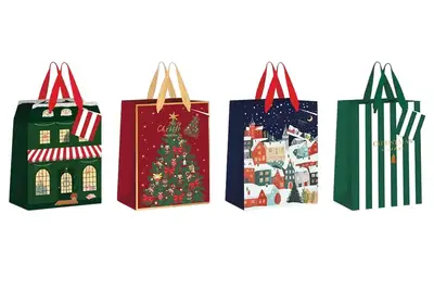 Пакет паперовий 376930 LARGE 33x46x13см BN асорті 190g купити