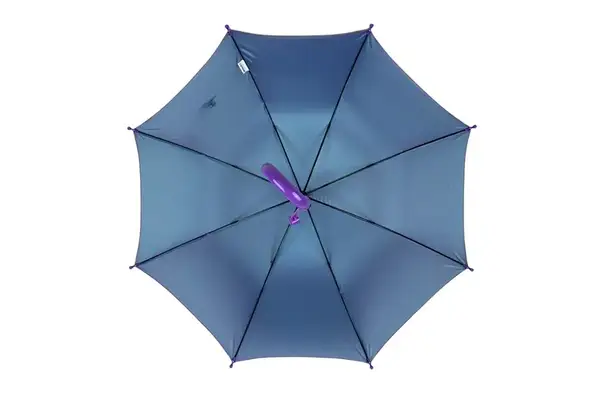 Дитяча парасолька хамелеон 4-7 років купити недорого в Україні, фото 3