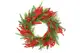 Вінок новорічний 390052 купити недорого в Україні, фото 48875