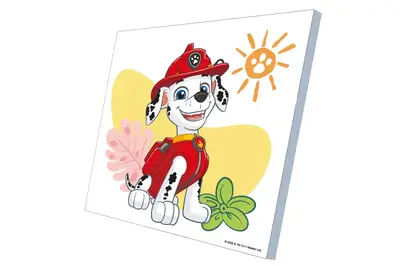 Набір для розпису по номерах 30х30 см QB913-013 "Щенячий патруль: Маршал" qbee купити