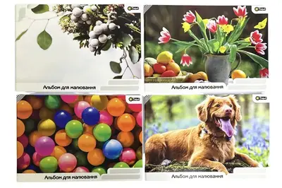 Альбом для малювання Добрий, скоба 40 арк, 00-00019316 купити