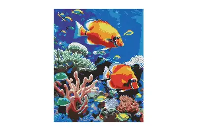 Набір з алмазною мозаїкою AMO20071 "Яскравий риф" 40х50см IDEYKA купити