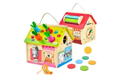 Бізібудинок C15007, 2 види в коробці р.20х17,3х20 см купити