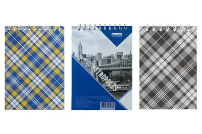 Блокнот на пружині, А6, 48 арк, "Shotlandka", клітинка, BM.2480-09/02/BM24645101-02 купити