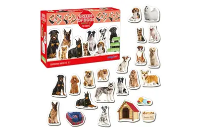 Набір магнітів ML4031-20EN Породи собак купити