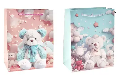 Подарунковий паперовий пакет 5505S р.18x23x10 см купити