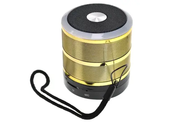 Міні-колонка портативна WS-887D на акумуляторі, підтримка Blootooth, FM, карти пам'яті купити недорого в Україні, фото 6