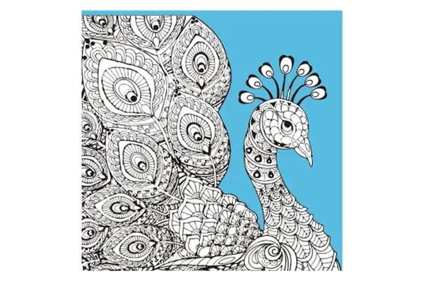 Набір для розпису-антистрес Барви пір'я розміром 30х30 см (JCEE37117) Strateg купити