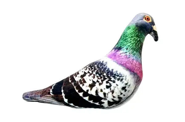 Іграшка м’яконабивна GOL-M «ГОЛУБ Валерчік» розмір М 40 см купити