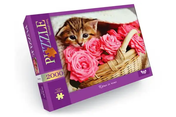 Пазли - 2000 елм. - C2000-01-01,02,03,04...10 серія 1 DANKO купити недорого в Україні, фото 4