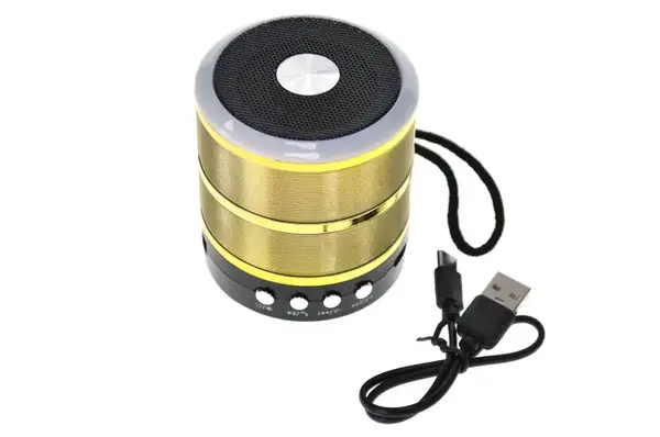 Міні-колонка портативна WS-887D на акумуляторі, підтримка Blootooth, FM, карти пам'яті купити недорого в Україні, фото 7