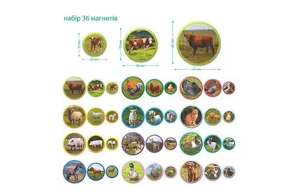 Набір магнітів 201212 Монтессорі «Ферма» DoDo купити недорого в Україні, фото 3