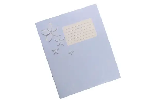 Зошит 18 аркушів Клітинка Преса України купити