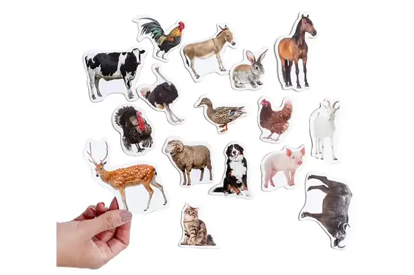 Набір магнитів ML4031-04EN "Ферма Фото" англійською мовою Масік купити недорого в Україні, фото 5