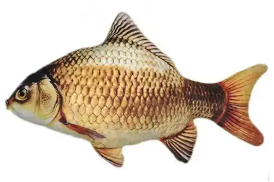 Іграшка м’яконабивна K-G-50 "КАРАСЬ ЗОЛОТИЙ" 50см купити