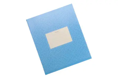 Зошит 24 аркуші Клітинка Фон Школярик купити