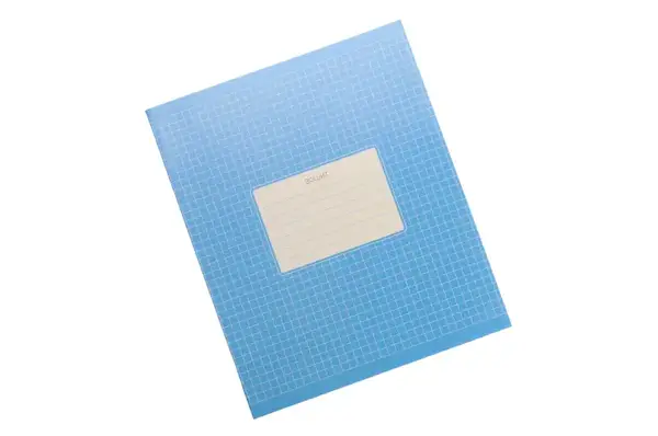 Зошит 24 аркуші Клітинка Фон Школярик купити