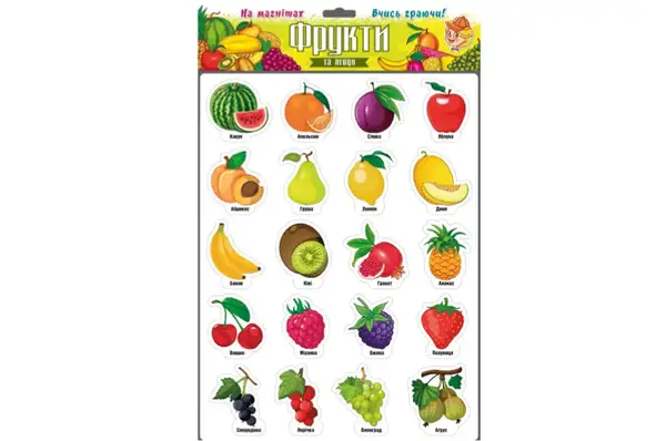 Магніти "Фрукти та ягоди" 1250 ARTOS купити недорого в Україні, фото 2