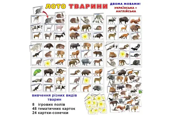 Дитяче лото "Тварини" КФІ купити недорого в Україні, фото 2