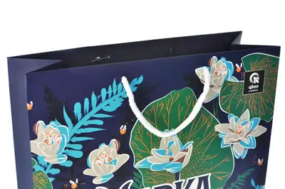 Пакет паперовий L QB004-209 "Мавка. Справжній міф. Мавка і Лук'ян" р.31x42x12 см qbee купити