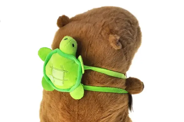 Капібара з черепашкою м'яка 30см. купити недорого в Україні, фото 3