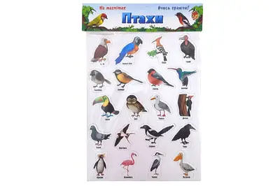 Магніти "Птахи" 1311 ARTOS купити