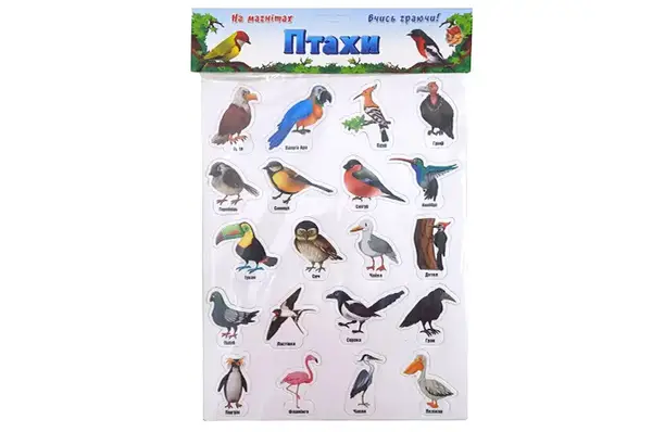 Магніти "Птахи" 1311 ARTOS купити