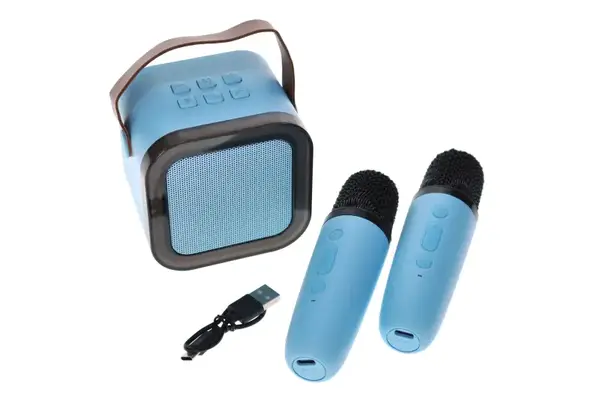 Караоке K12 з ДВОМА мікрофонами, блутуз колонка на акумуляторі, роз'єм для карти пам'яті, AUX, USB Type C, в коробці купити недорого в Україні, фото 4