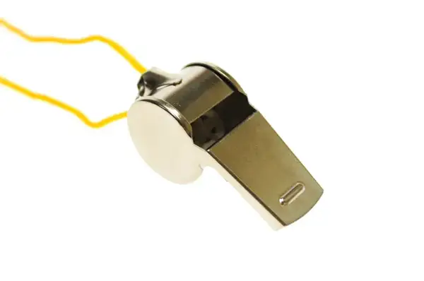 Свисток спортивний, металевий в кульку купити