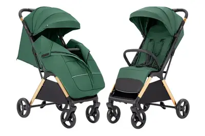 Коляска прогулянкова CRL-5523 "Cross" Parrot Green CARRELLO купити