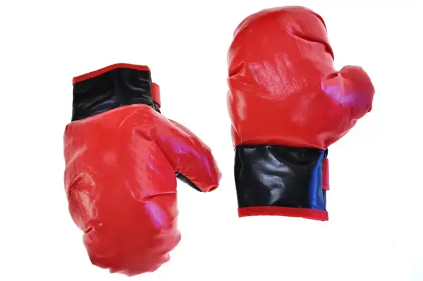 Боксерський набір (груша з рукавичками) MY1629 р.42*16*16см купити недорого в Україні, фото 5