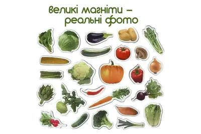 Набір магнітів (агнг.)"Овочі" ML4031-12 EN купити