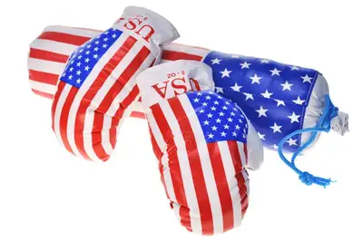 Боксерський набір M-USA "Америка" середній DANKO купити