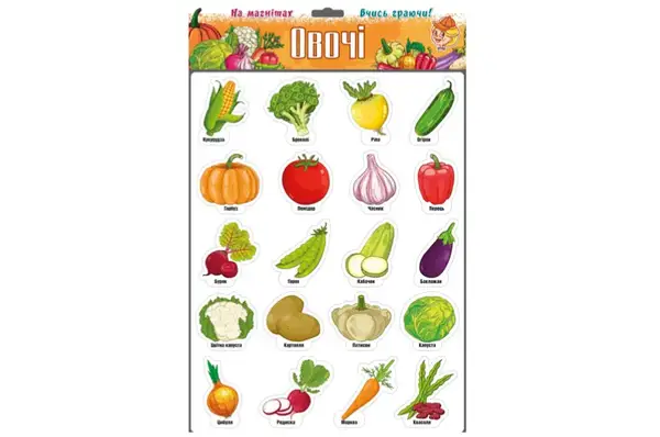 Магніти "Овочі" 1267 ARTOS купити недорого в Україні, фото 2