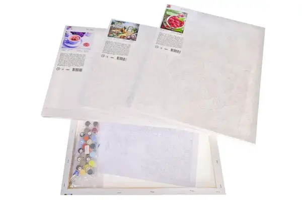 Розпис на полотні по номерах з рівнем та лаком мікс STRATEG р. 40х50 см. купити