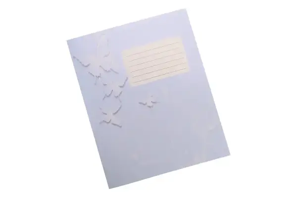 Зошит 18 аркушів Лінія Преса України купити