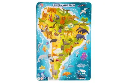 Пазл з рамкою "Південна Америка" (53 елементи) R300178 DoDo купити