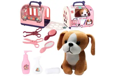 Собака з переноскою і аксесуарами, в коробці 832-165 р.33*17*21,5см купити