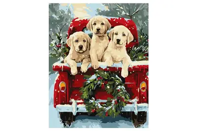 Набір для розпису по номерах KHO6838 "Собача поїздка" 40х50см IDEYKA купити