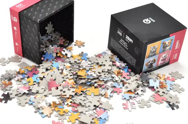 Пазли - 300 елм. - QB500-007 "Пара собак та кошенят" qbee купити недорого в Україні, фото 3