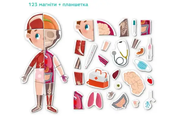 Розвиваюча гра 200220 "Магнітне тіло" DoDo купити недорого в Україні, фото 3