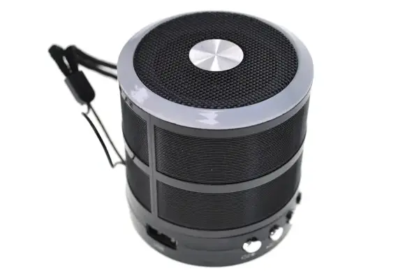 Міні-колонка портативна WS-887D на акумуляторі, підтримка Blootooth, FM, карти пам'яті купити недорого в Україні, фото 5