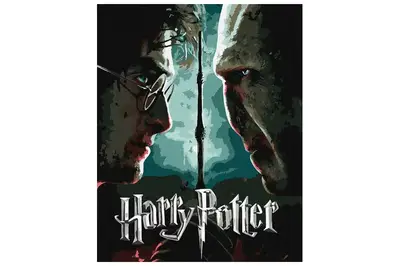 Набір для розпису по номерах KHO5222 WB "Harry Potter: Гаррі та Волдеморт з фарбами металік extra" 40х50см IDEYKA купити