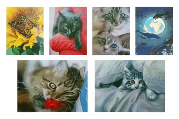 Набір креативної творчості "Алмазна картина" в асорт. р. 50*40 см STRATEG купити недорого в Україні, фото 3